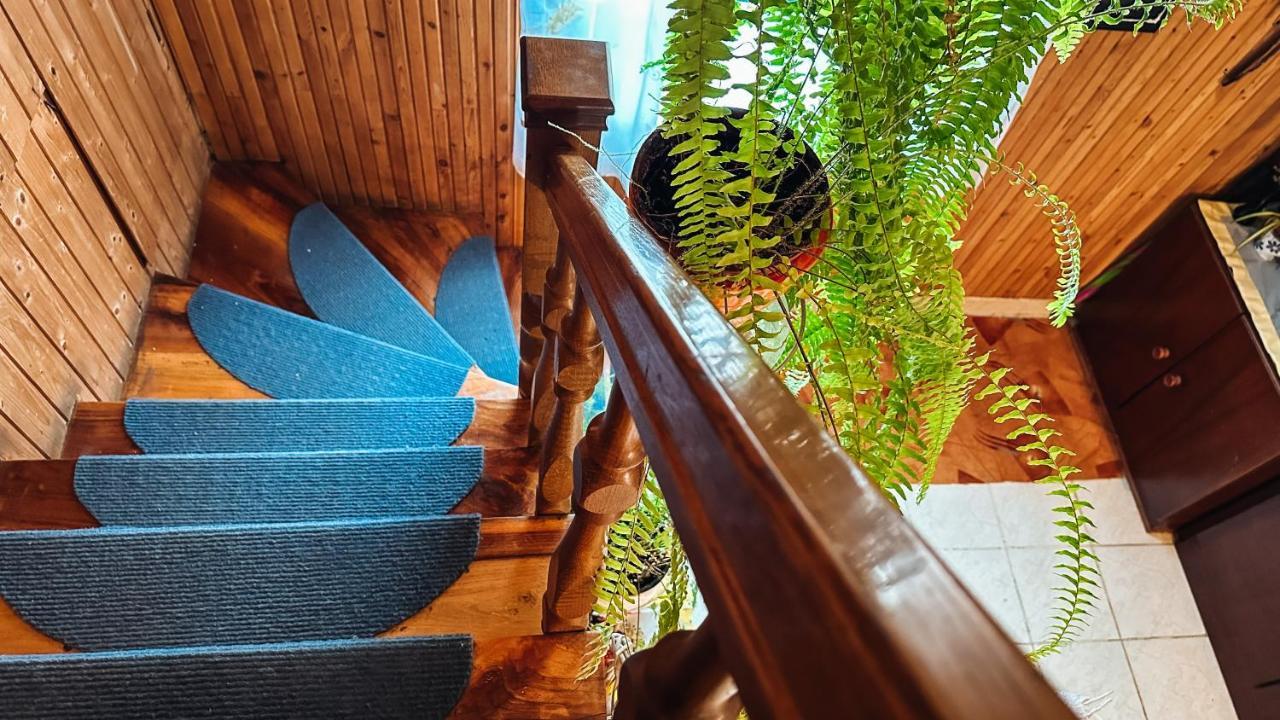Hotel Napfeny Vendeghaz Győr Zewnętrze zdjęcie